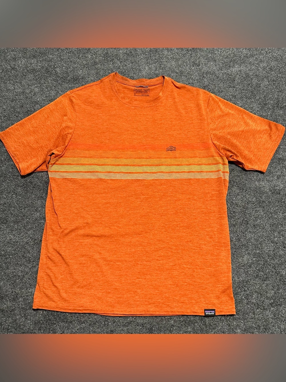 Patagonia Capilene Cool Daily Graphic Shirt